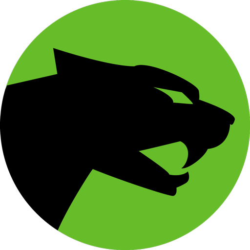 ARCTIC CAT